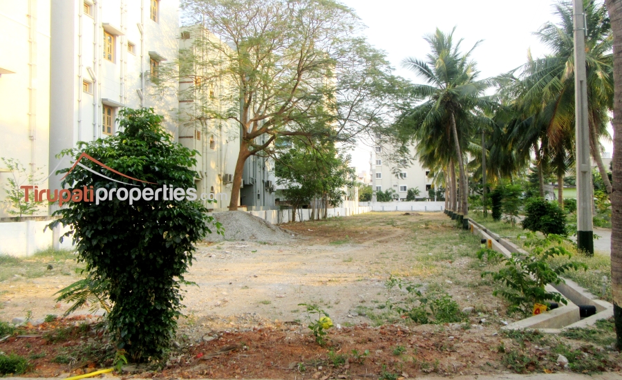 TUDA & RERA Approved #GatedCommunity East & West Facing #PlotsforSale Near Padmavathi Kalyanamandapam, #Tirupati